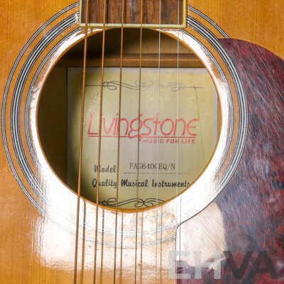 Livingstone Acoustic Guitar FAG640EQ/N, Four Band Pre-amp Pick Up