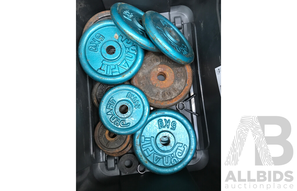 Torros Deluxe Weight Bench with Assorted Weight Plates