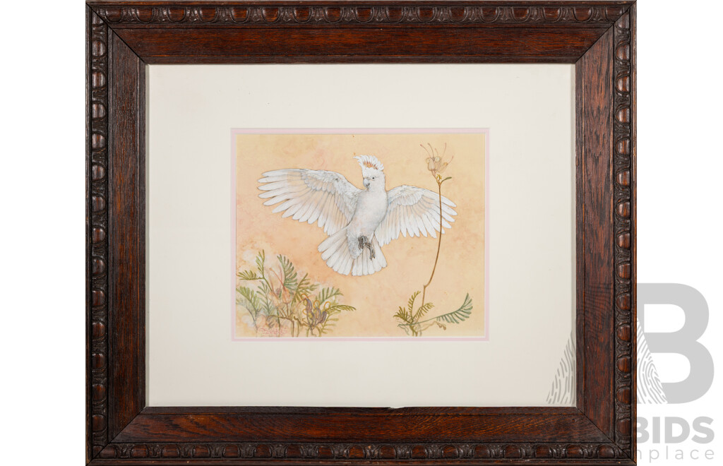 Joy Scherger, (20th Century, Australian, 1928-2022), Cockatoo in Flight, Wonderful Original Vintage Watercolour, 53 x 63 cm (frame)