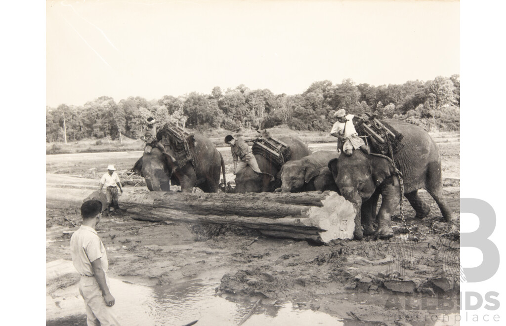 Very Interesting Historical Collection Black & White Photographs Featuring Varied Vistas & Scenes From Burma/Myanmar, 43 x 32 cm (album)