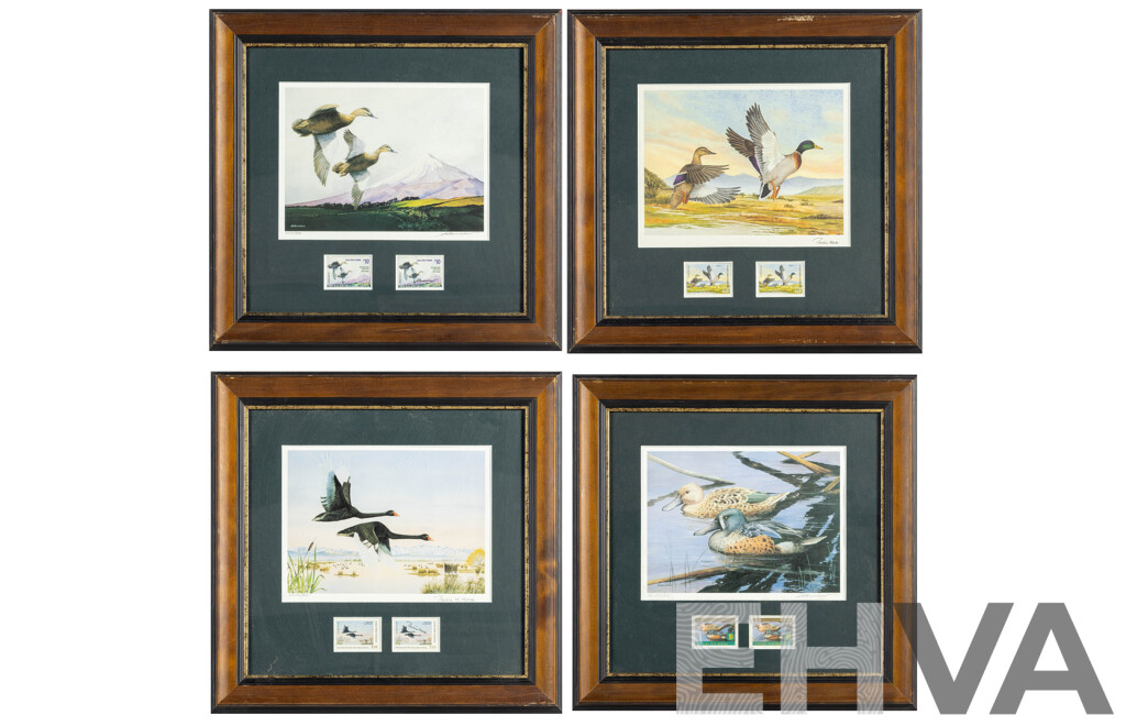 Pauline H. Morse & Adele Earnshaw (20th Century, New Zealanders), Shoveler Ducks, Black Swans, Mallards & New Zealand Grey Ducks, Collection of Quality Reproduction Prints with Official Stamps, 40 x 40 cm (frames) (4)