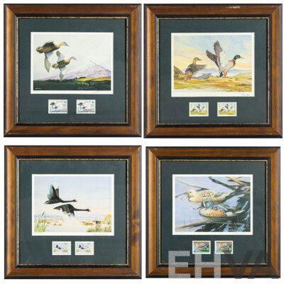 Pauline H. Morse & Adele Earnshaw (20th Century, New Zealanders), Shoveler Ducks, Black Swans, Mallards & New Zealand Grey Ducks, Collection of Quality Reproduction Prints with Official Stamps, 40 x 40 cm (frames) (4)