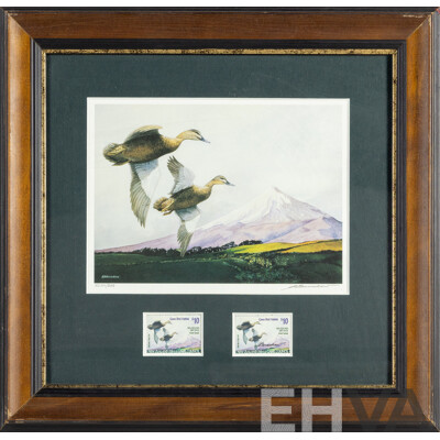 Pauline H. Morse & Adele Earnshaw (20th Century, New Zealanders), Shoveler Ducks, Black Swans, Mallards & New Zealand Grey Ducks, Collection of Quality Reproduction Prints with Official Stamps, 40 x 40 cm (frames) (4)