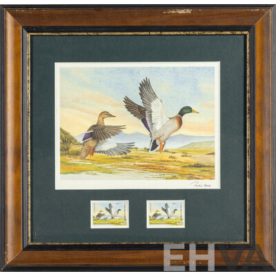Pauline H. Morse & Adele Earnshaw (20th Century, New Zealanders), Shoveler Ducks, Black Swans, Mallards & New Zealand Grey Ducks, Collection of Quality Reproduction Prints with Official Stamps, 40 x 40 cm (frames) (4)