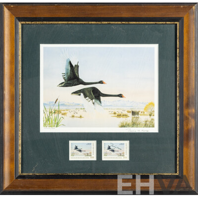 Pauline H. Morse & Adele Earnshaw (20th Century, New Zealanders), Shoveler Ducks, Black Swans, Mallards & New Zealand Grey Ducks, Collection of Quality Reproduction Prints with Official Stamps, 40 x 40 cm (frames) (4)