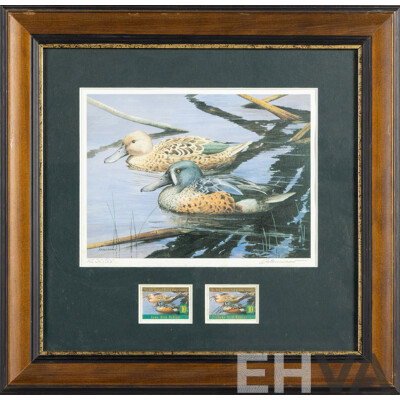 Pauline H. Morse & Adele Earnshaw (20th Century, New Zealanders), Shoveler Ducks, Black Swans, Mallards & New Zealand Grey Ducks, Collection of Quality Reproduction Prints with Official Stamps, 40 x 40 cm (frames) (4)