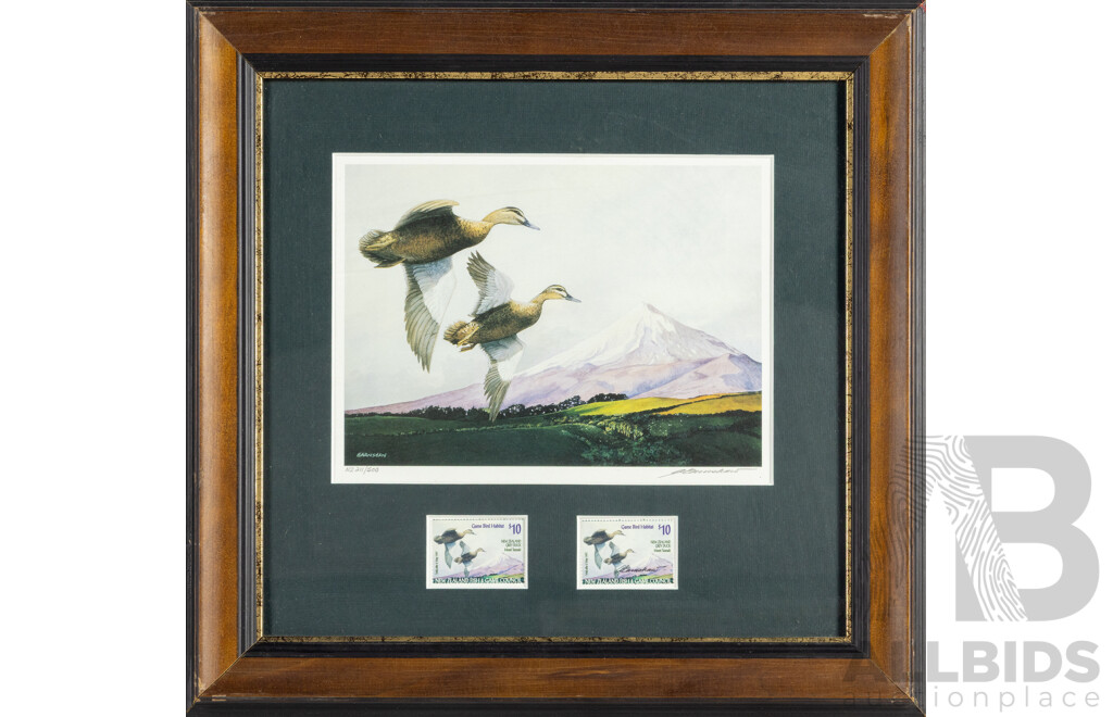 Pauline H. Morse & Adele Earnshaw (20th Century, New Zealanders), Shoveler Ducks, Black Swans, Mallards & New Zealand Grey Ducks, Collection of Quality Reproduction Prints with Official Stamps, 40 x 40 cm (frames) (4)