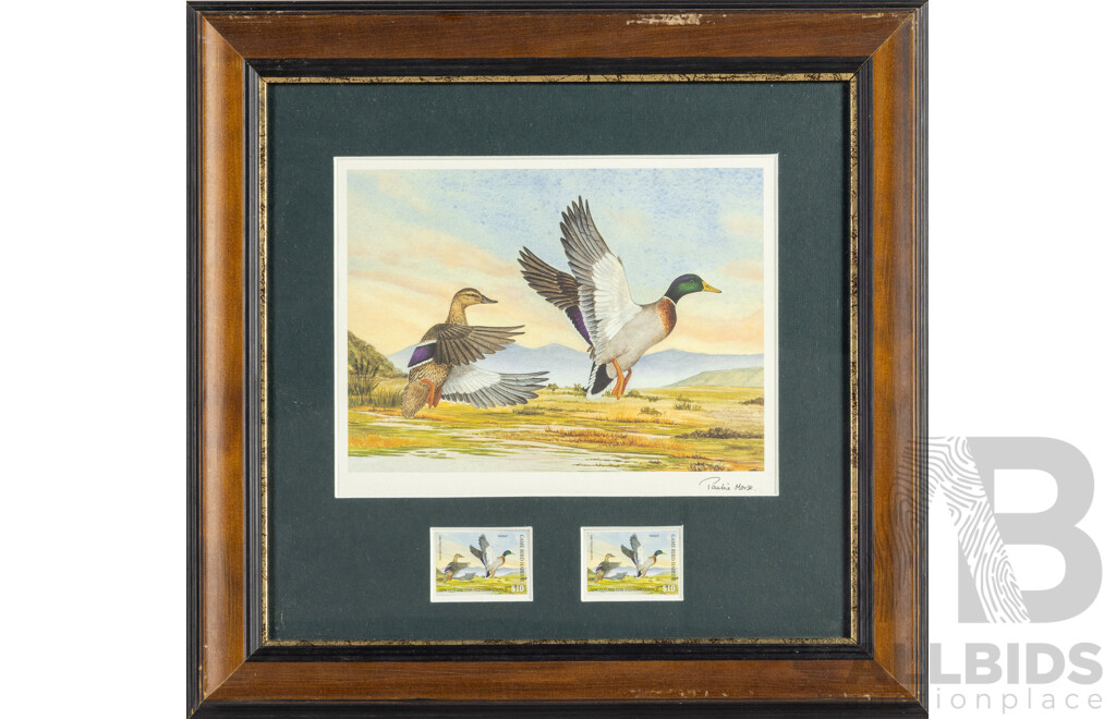 Pauline H. Morse & Adele Earnshaw (20th Century, New Zealanders), Shoveler Ducks, Black Swans, Mallards & New Zealand Grey Ducks, Collection of Quality Reproduction Prints with Official Stamps, 40 x 40 cm (frames) (4)