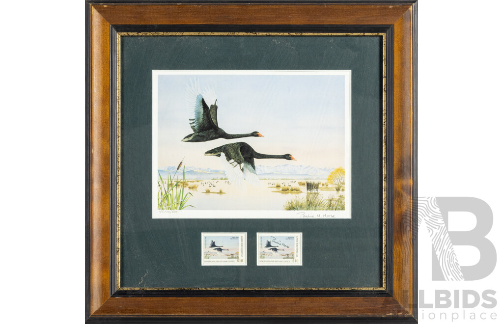 Pauline H. Morse & Adele Earnshaw (20th Century, New Zealanders), Shoveler Ducks, Black Swans, Mallards & New Zealand Grey Ducks, Collection of Quality Reproduction Prints with Official Stamps, 40 x 40 cm (frames) (4)