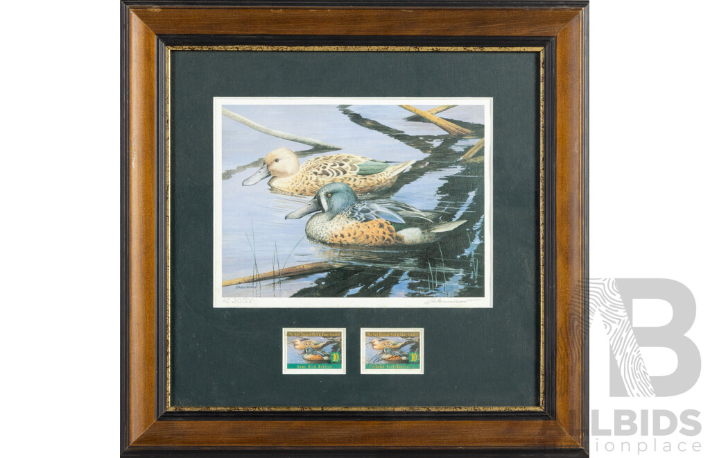 Pauline H. Morse & Adele Earnshaw (20th Century, New Zealanders), Shoveler Ducks, Black Swans, Mallards & New Zealand Grey Ducks, Collection of Quality Reproduction Prints with Official Stamps, 40 x 40 cm (frames) (4)