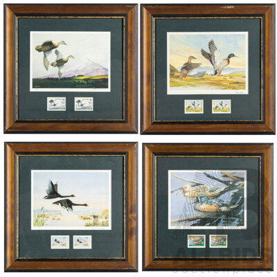 Pauline H. Morse & Adele Earnshaw (20th Century, New Zealanders), Shoveler Ducks, Black Swans, Mallards & New Zealand Grey Ducks, Collection of Quality Reproduction Prints with Official Stamps, 40 x 40 cm (frames) (4)