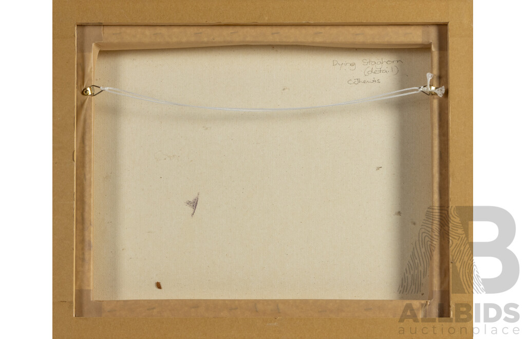 C.J. Lewis, (20th Century, Australian, 1952-), Dying Staghorn [Detail], Original Oil on Canvas, 44 x 54 cm (frame)