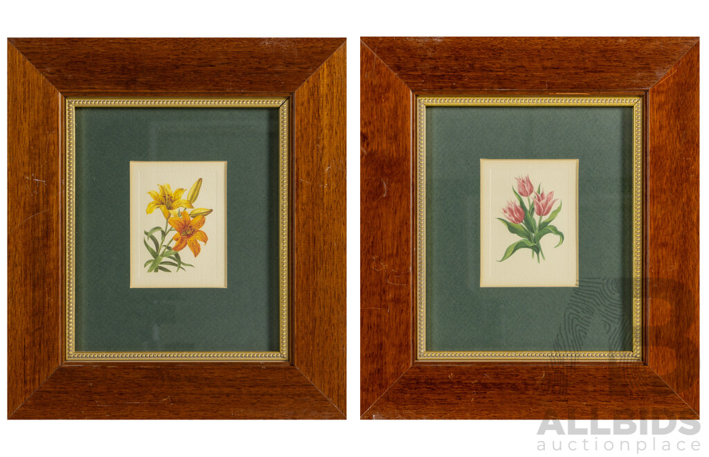 Artists Unknown, (20th Century), Wild Orange Lily & Pink Tulips, Pair of Reproduction Colour Prints After Original Miniature Watercolours, 32 x 29 cm (frames) (2)