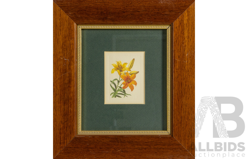 Artists Unknown, (20th Century), Wild Orange Lily & Pink Tulips, Pair of Reproduction Colour Prints After Original Miniature Watercolours, 32 x 29 cm (frames) (2)