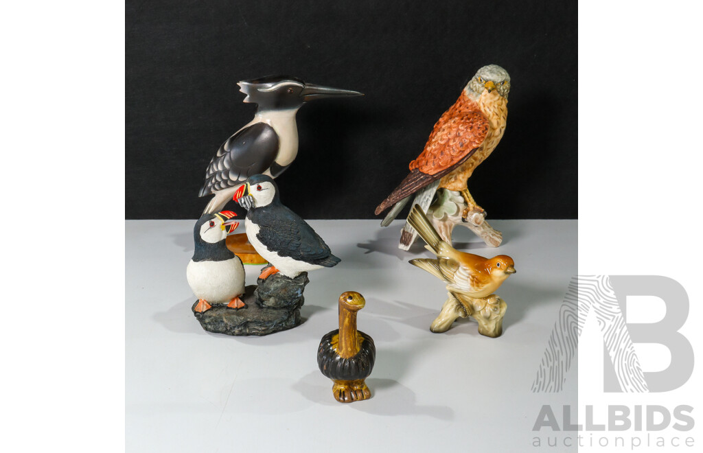 Collection of Birds Including Kestrel, Pied Kingfisher,  Atlantic Puffins, Emu and Robin