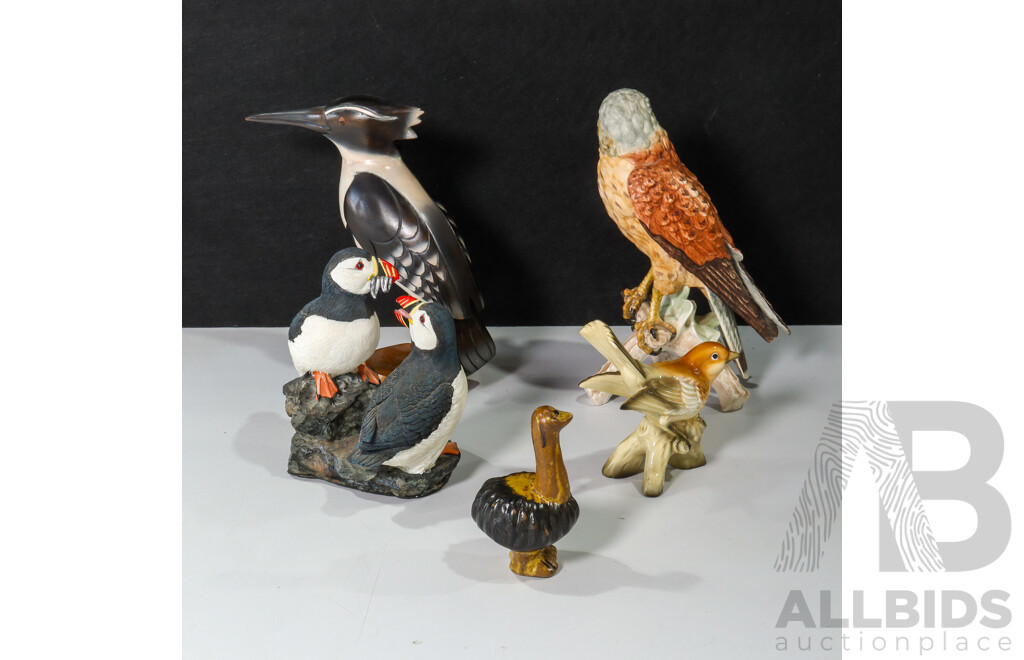 Collection of Birds Including Kestrel, Pied Kingfisher,  Atlantic Puffins, Emu and Robin