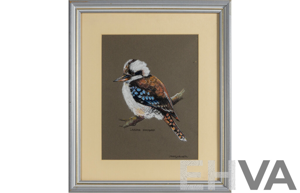 Lesley A. Wallington, (20th Century, Australian), Laughing Kookaburra, Wonderful Original Pastel, 46 x 39 cm (frame)