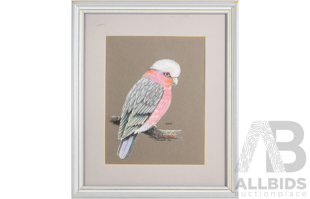 Lesley A. Wallington, (20th Century, Australian), Galah (1992), Wonderful Original Pastel, 46 x 39 cm (frame)