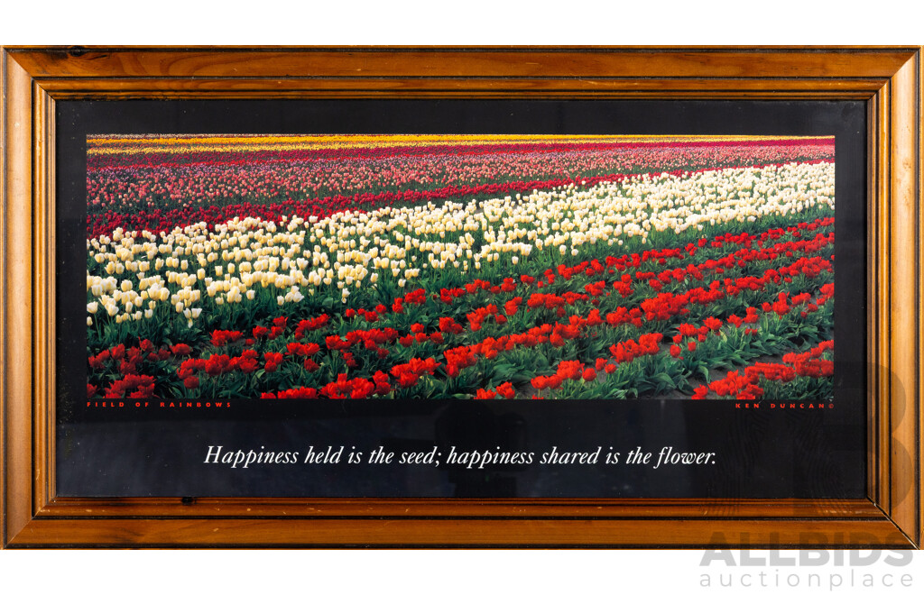 Ken Duncan (20th Century, Australian, 1954-), Field of Rainbows, Reproduction Colour Print After Original Photograph, 37 x 67 cm (frame)