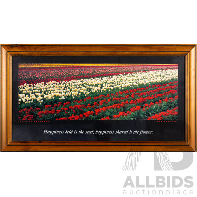 Ken Duncan (20th Century, Australian, 1954-), Field of Rainbows, Reproduction Colour Print After Original Photograph, 37 x 67 cm (frame)