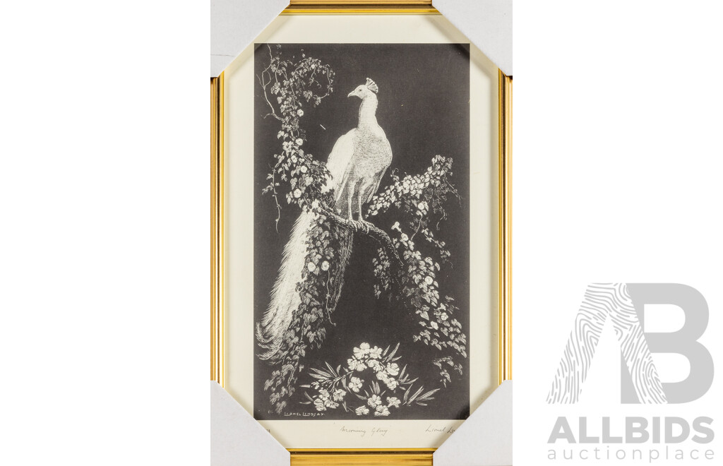 Lionel Arthur Lindsay, (19/20th Centuries, Australian, 1874-1961), Morning Glory, Reproduction Limited Edition Quality Print After Original Woodcut, 54 X 36 Cm (frame)
