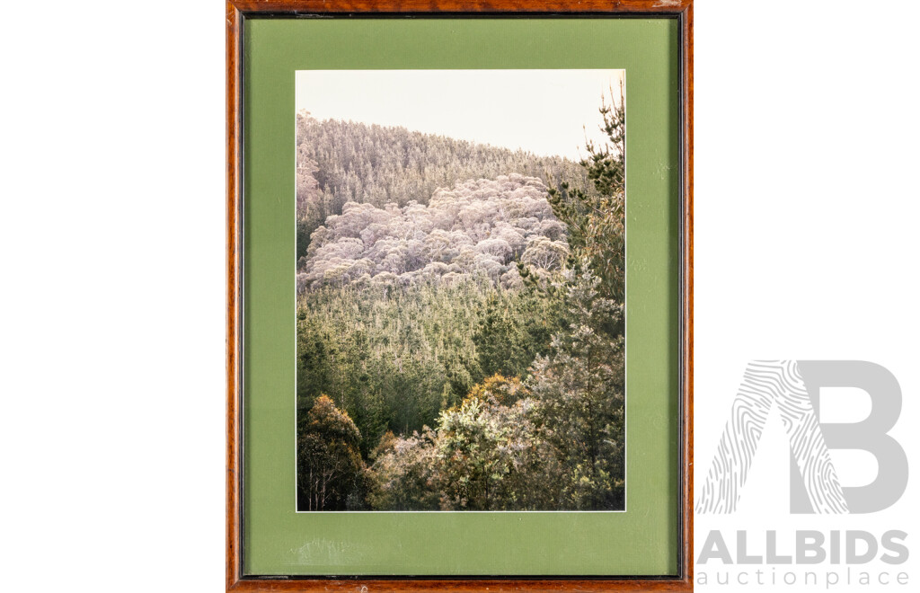 Artist Unknown (20th Century), Mountain Canopy, Original Colour Photograph, 53H x 42W cm (frame)