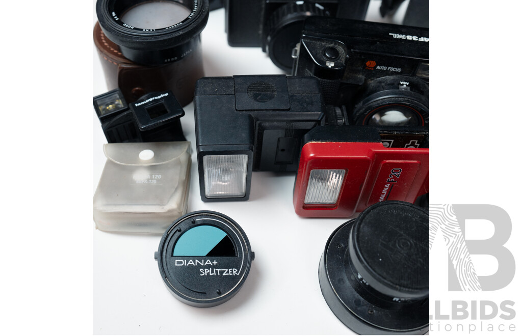 Vintage Cameras, Lenses and Flashes Including Canon ML, Minolta Hi-Matic E, Diana F, Holga 135BC