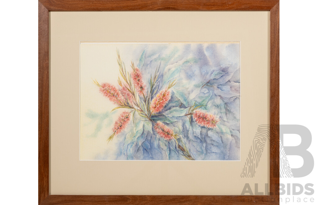 C.Y.Glenn (20th Century, Australian), Callistemon & Gum Leaves, Lovely Original Watercolour, 46 x 53 cm (frame)