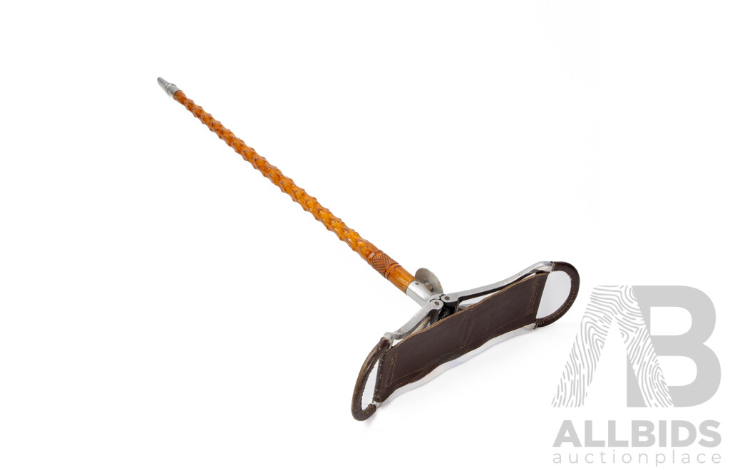 Wonderful Vintage Walking/Shooting Stick with Carved Wooden Shaft and Canvas Seat, 100L cm