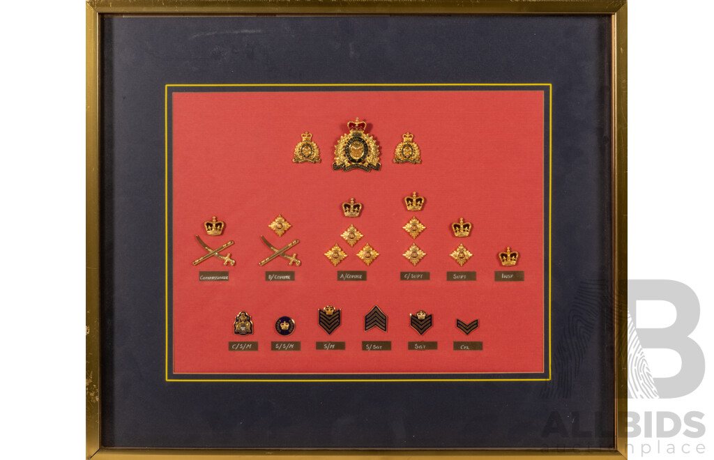 Nicely Framed Shadow Box Display of Varied Royal Canadian Mounted Police Badges, 49 X 57 Cm (frame)