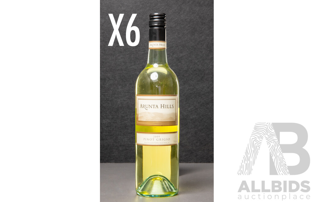 Half Dozen Arunt Hills Pinot Grigio Vintage 2009 (6)