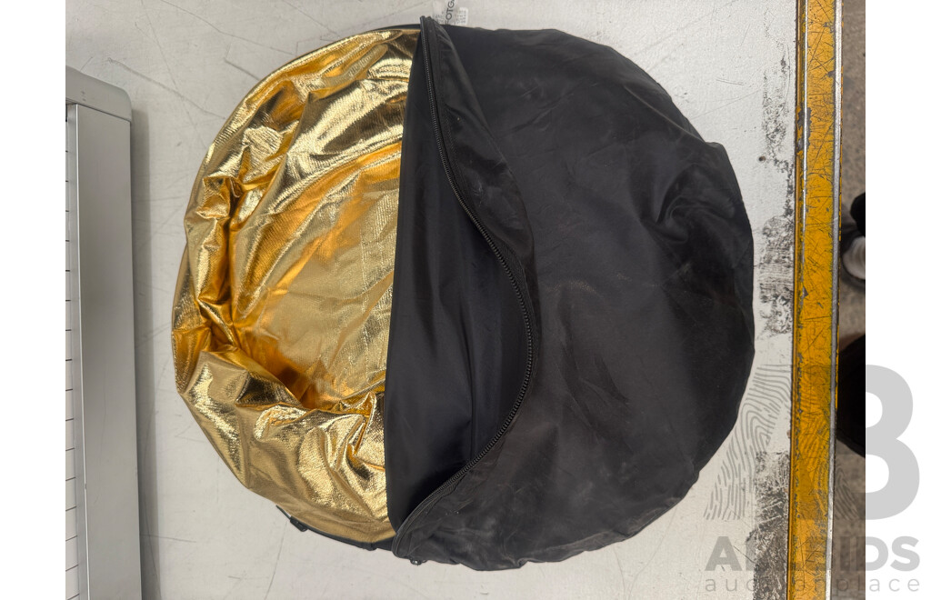 Casio Privia Px310 - 88Key - Keyboard + Tour Craft Keyboard Stand + Gold/Chrome Popup Light Cast