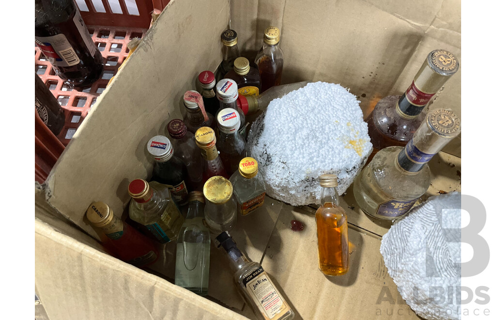 Collection of Vintage Beer and Liquor Bottles Including Brisbane Bitter, Old Ballarat Brew, Guinness Throw Down, Ceramic Stones Ginger Wine and More