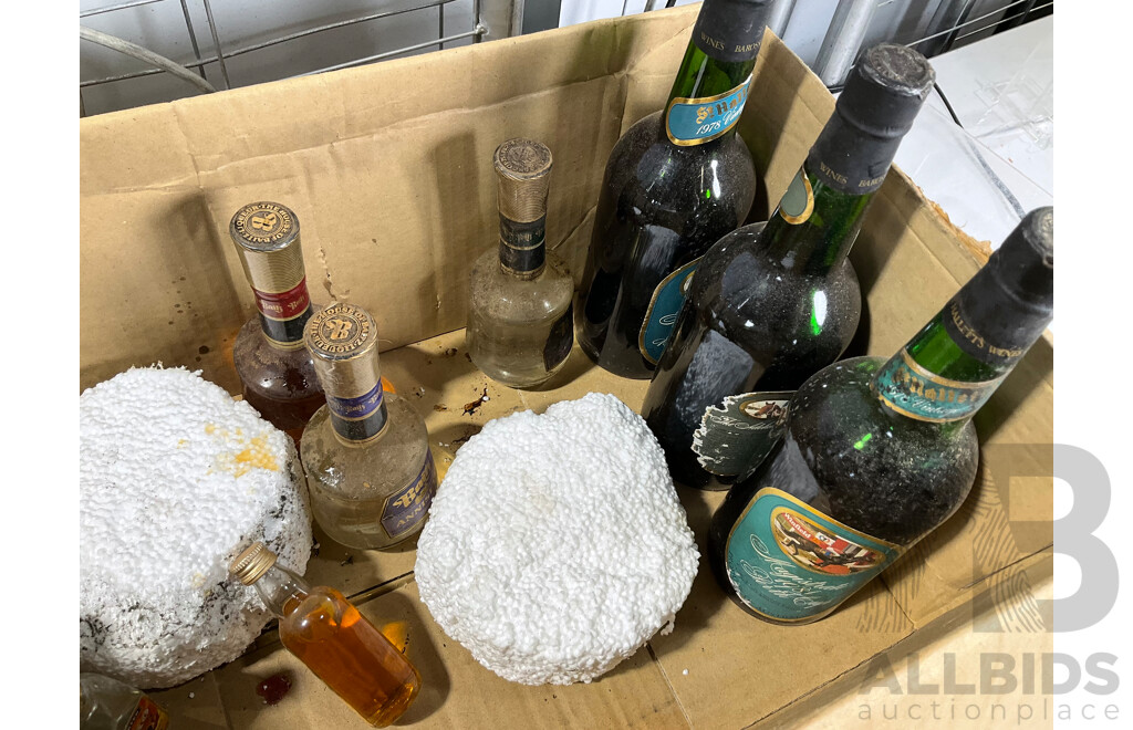 Collection of Vintage Beer and Liquor Bottles Including Brisbane Bitter, Old Ballarat Brew, Guinness Throw Down, Ceramic Stones Ginger Wine and More