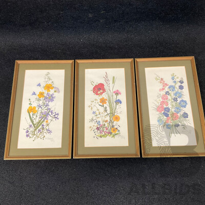 C.L.Britzke Neil (1976) Framed Botanical Flower Print, 42 X 25 Cm (frame) - Set of 3
