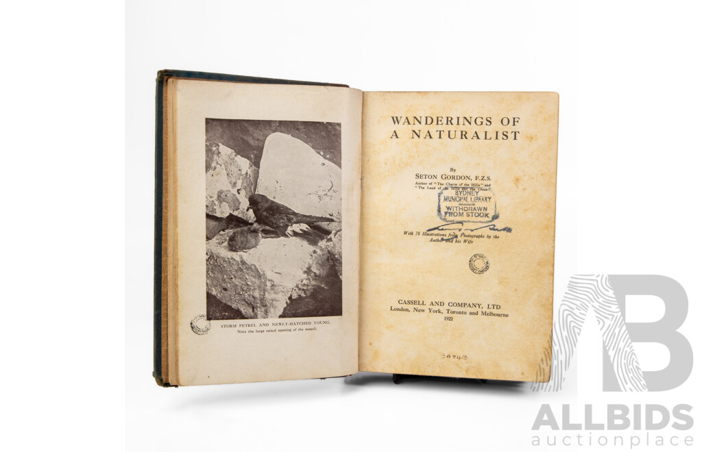Wonderful Antique Copy of Wanderings of a Naturalist by Seton Gordon (Scottish, 1886-1977), Published by Cassel & Co, 1921