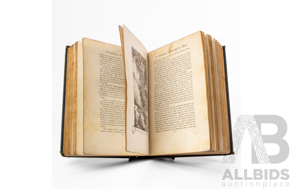 Wonderful Antique Copy of Wanderings of a Naturalist by Seton Gordon (Scottish, 1886-1977), Published by Cassel & Co, 1921