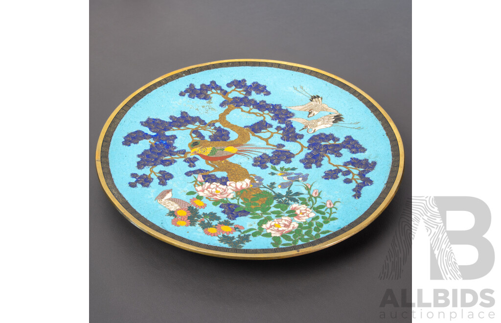 Large C.1880 Japanese Cloisonne Charger, Meiji Period, Lyrebird on Flowering Tree, Imperial Blue Ground
