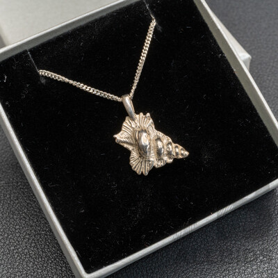 BRAND NEW - Sterling Silver Conch Shell Pendant, 22mm, on 45cm Necklace, 5.28 Grams