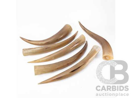 Collection of Six Faux Resin Horns