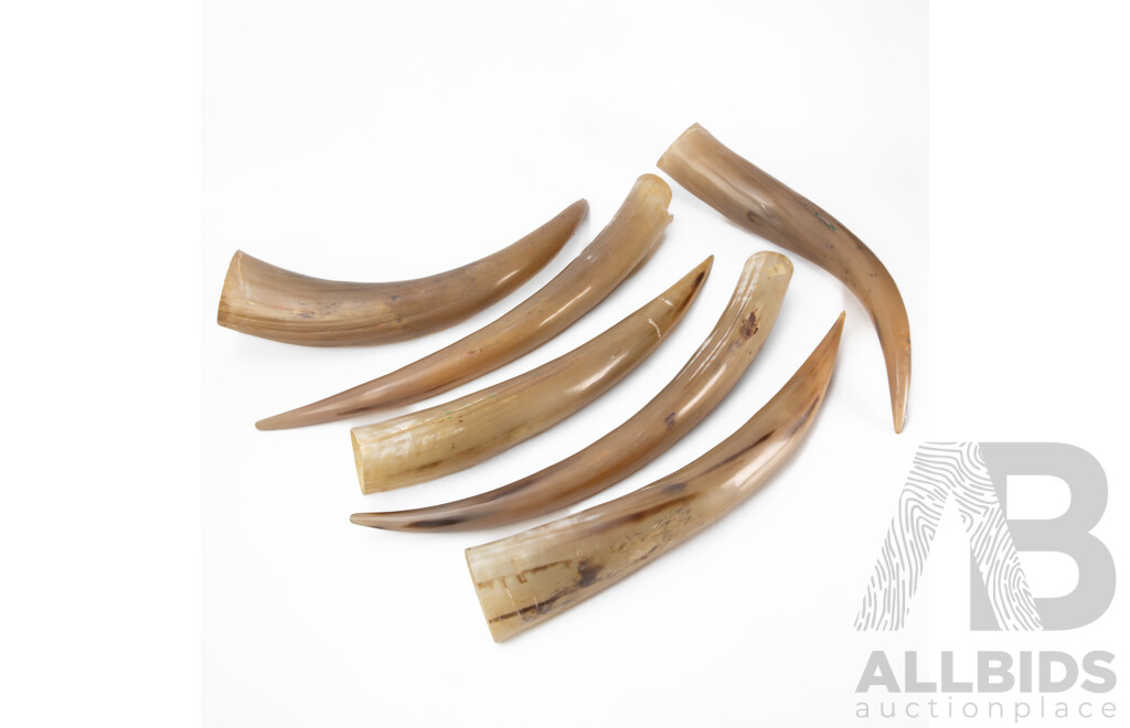 Collection of Six Faux Resin Horns