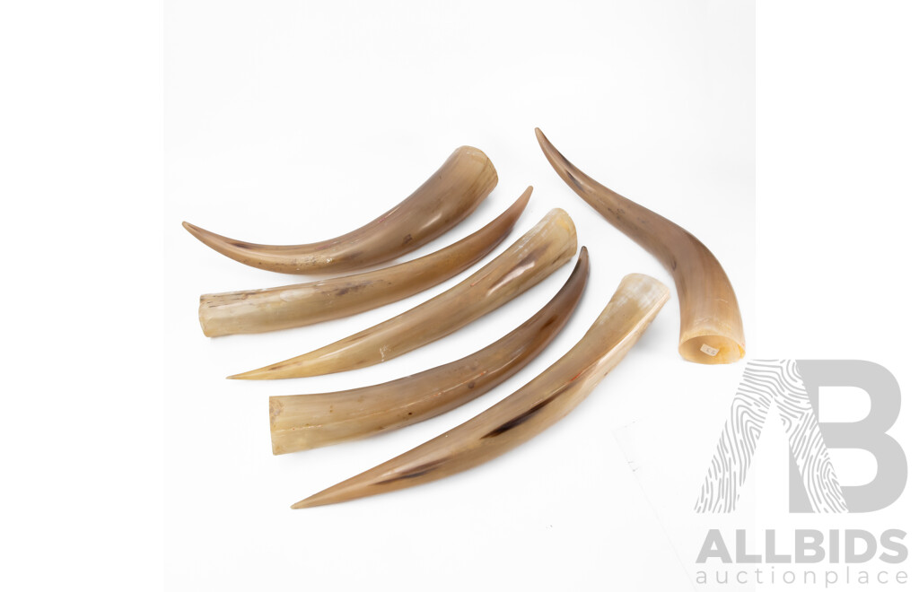 Collection of Six Faux Resin Horns