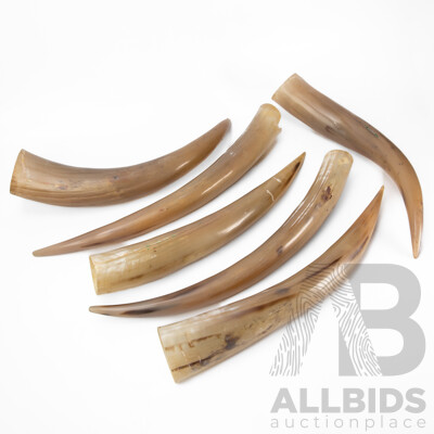Collection of Six Faux Resin Horns