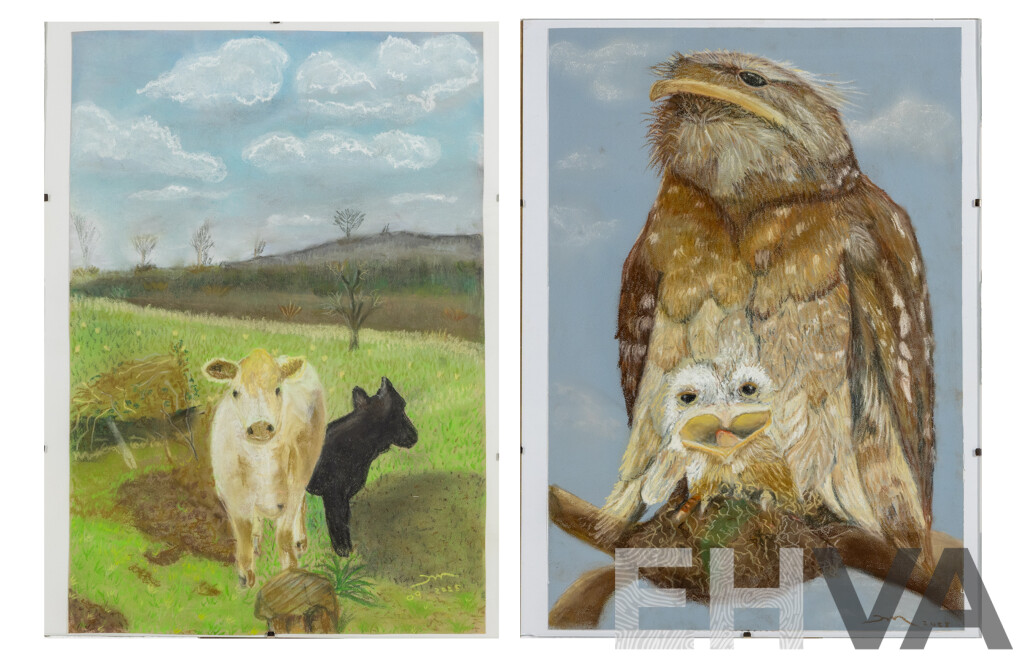 Martha Catalina Flores (20th Century, Mexican), Tawny Frogmouths & Grazing Cows, Wonderful Pair of Original Pastels on Paper, 40 X 30 Cm (frames) (2)