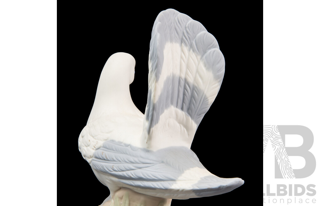 Porcelanas Miquel Requena Dove