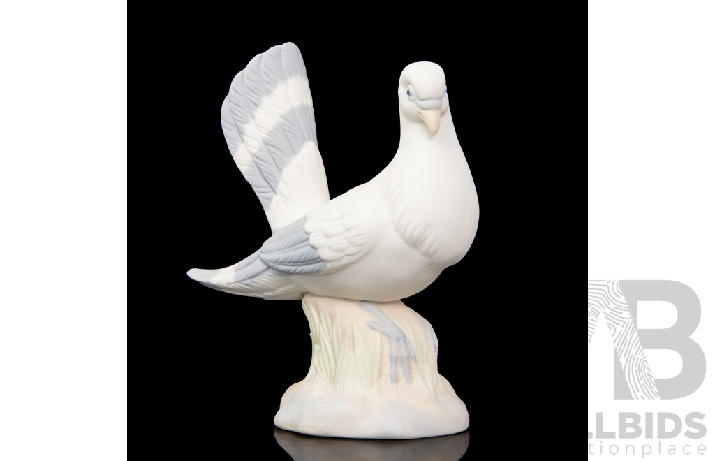 Porcelanas Miquel Requena Dove