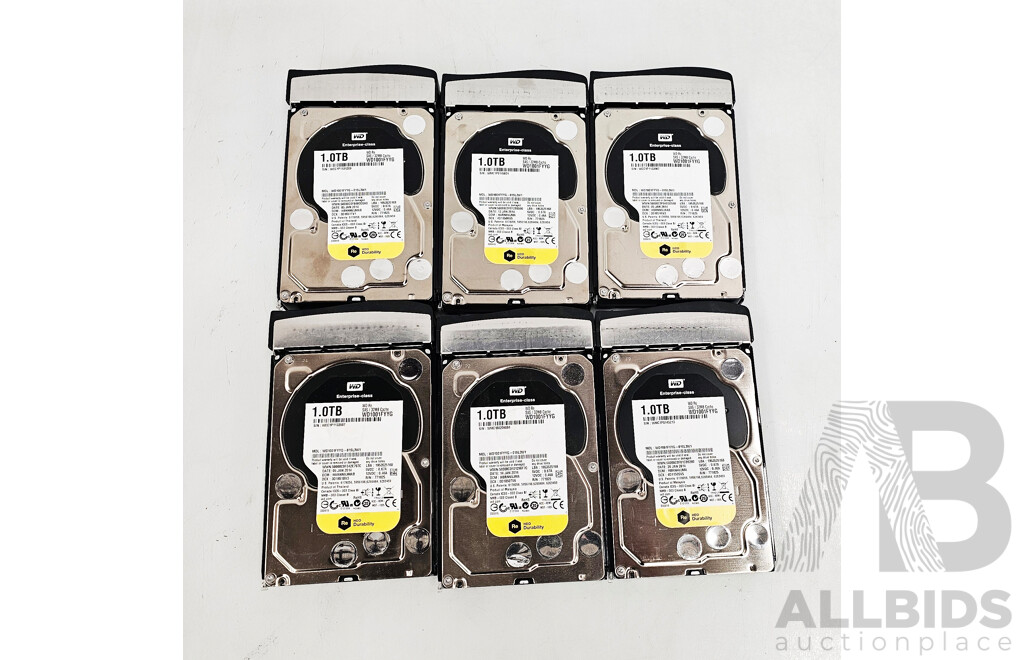 Western Digital (WD1001FYYG) 1TB SAS 6Gbps 7.2K 3.5-Inch Hard Drive - Lot of Six