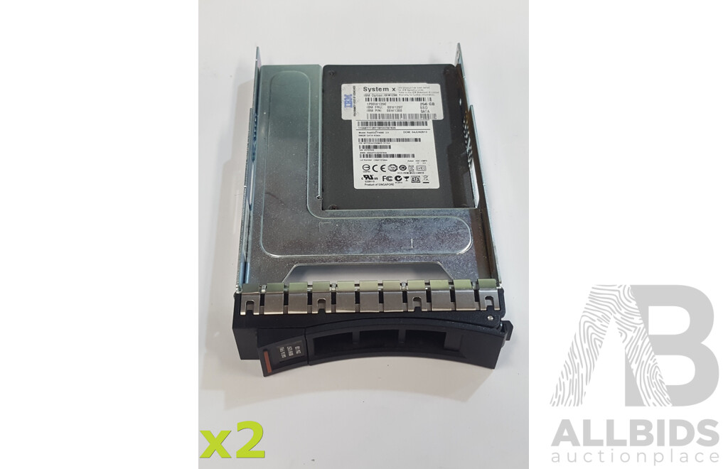 IBM System x (00W1296) 256GB SATA 6Gbps 2.5-Inch Solid State Drive - Lot of Two
