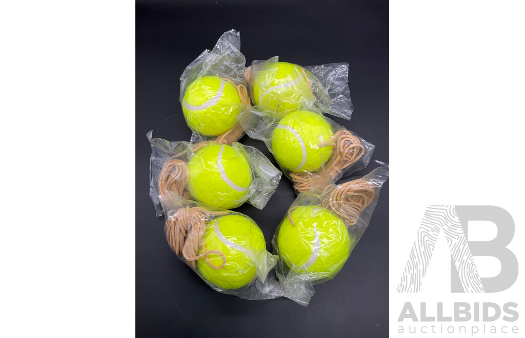 Collection of Various Sports Equipment for Golf, Tennis  Basketball, Netball, Including Various Balls, Velcro Golf Target Set and More - Lot of 25