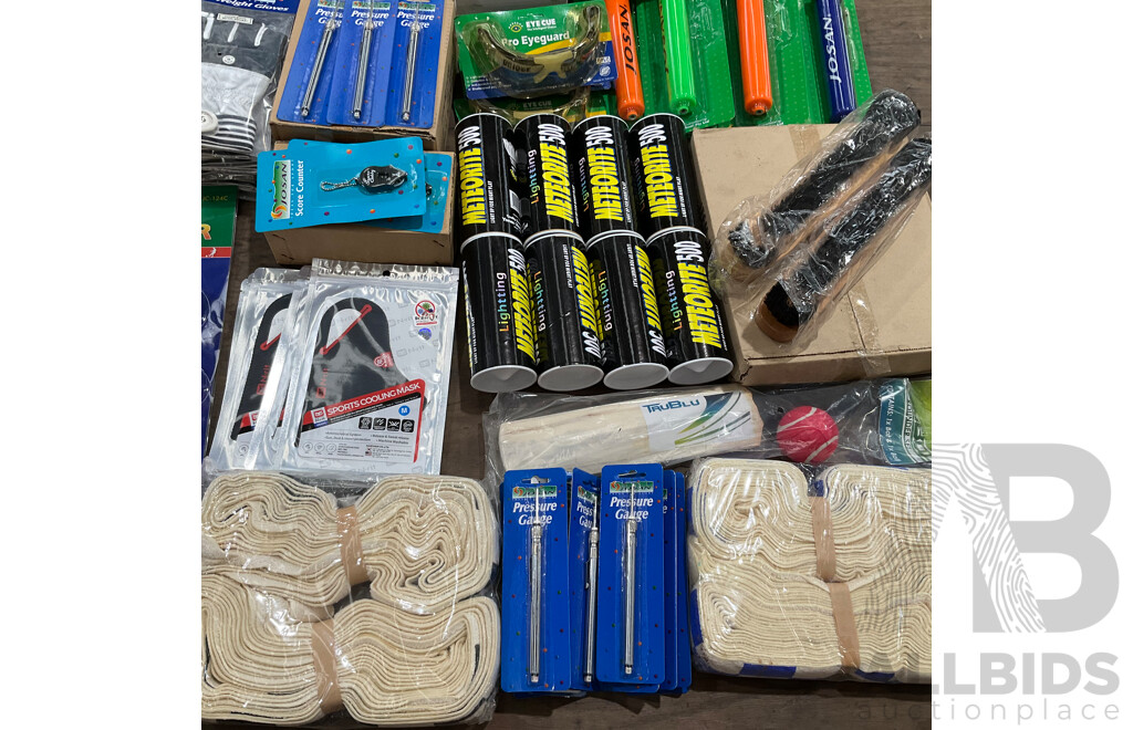 Collection of Various Sports Equipment